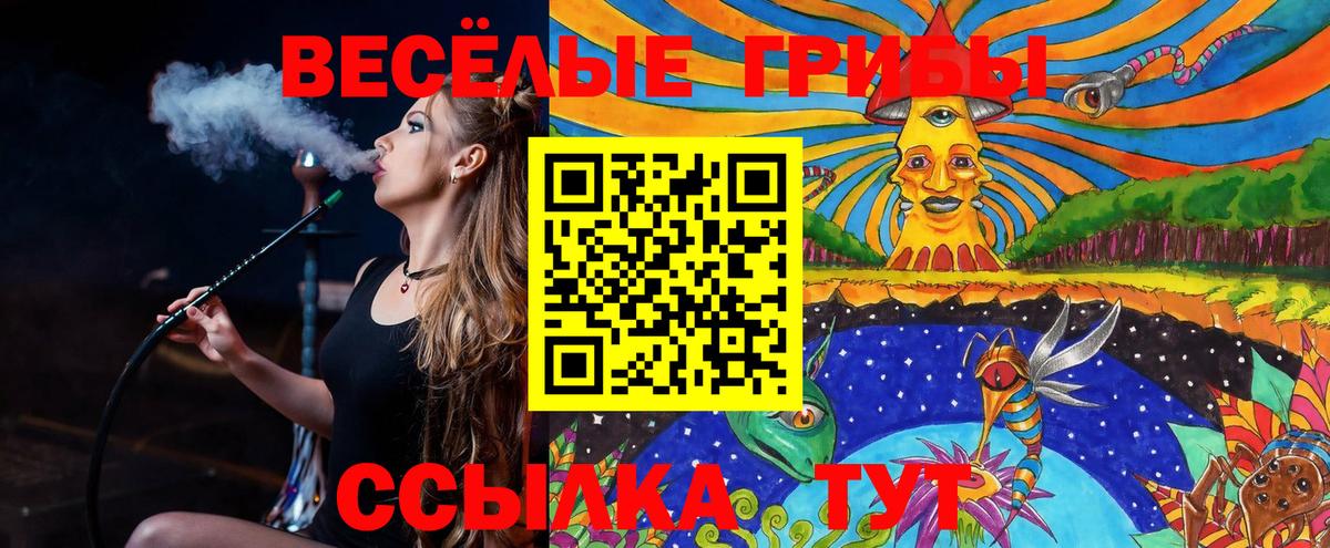 Кропоткин  Галлюциногенные грибы Psilocybine cubensis  что такое   Галлюциногенные грибы Psilocybe  Вход с VPN 